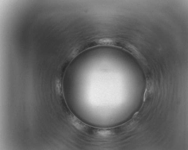 X0000069390669200605262118