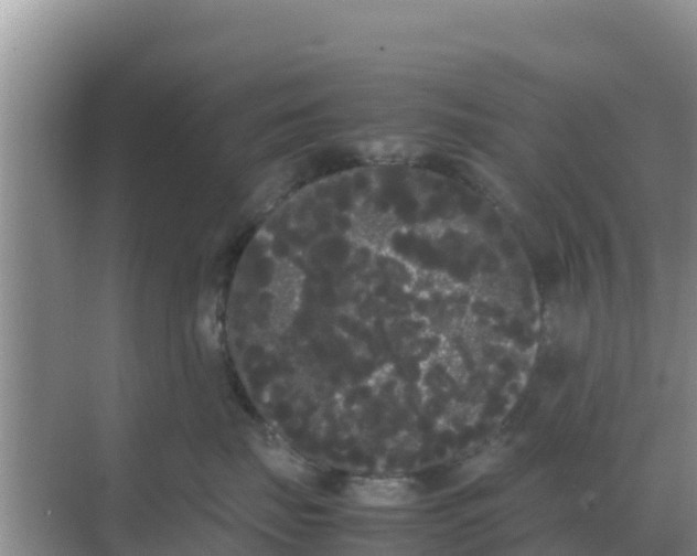 X0000069390671200605262118