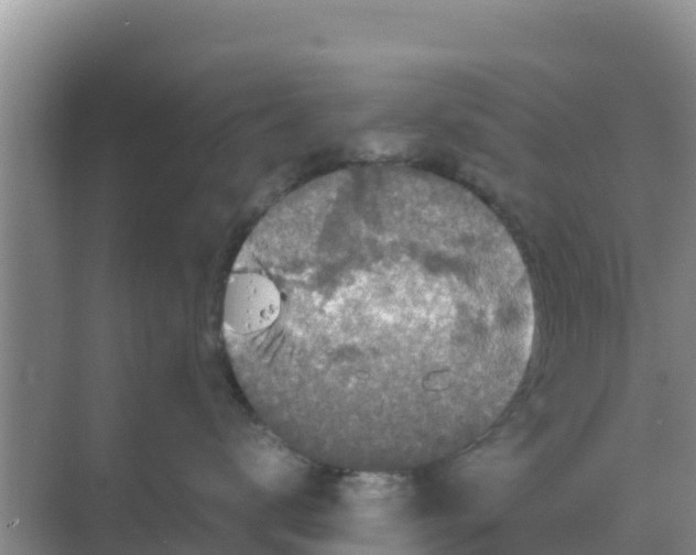 X0000069390672200605262118