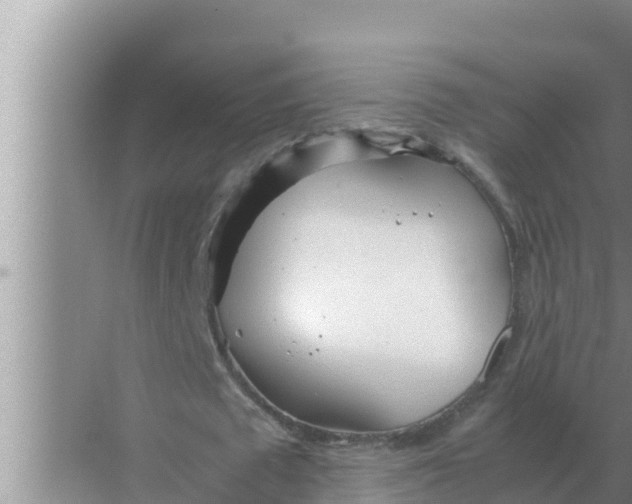 X0000069390673200605262117