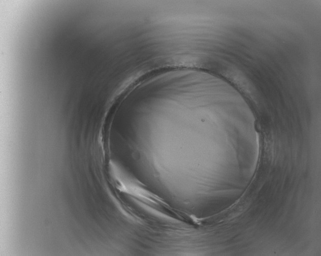 X0000069390674200605262117