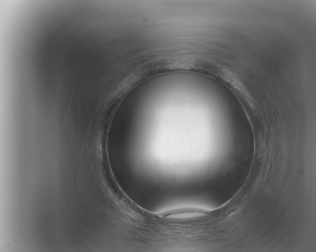 X0000069390681200605262117