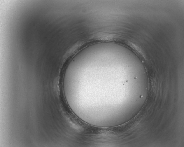 X0000069390682200605262117