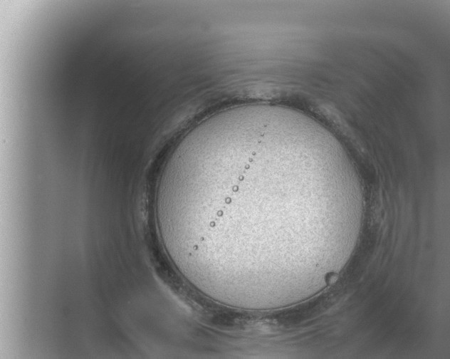 X0000069390683200605262117