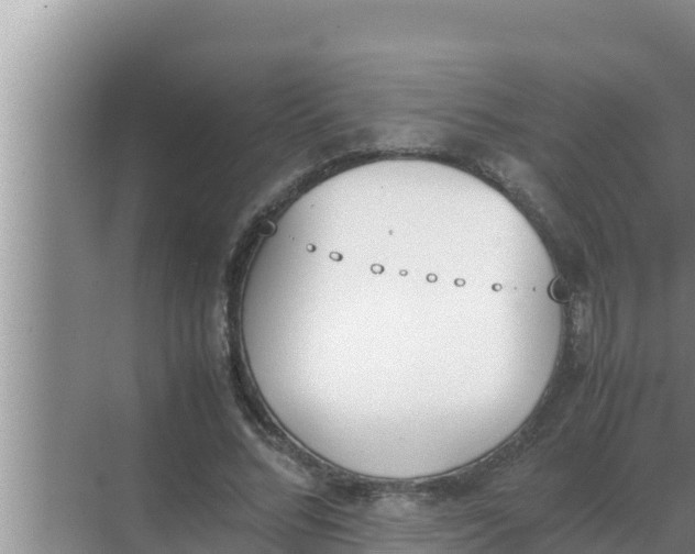 X0000069390684200605262117