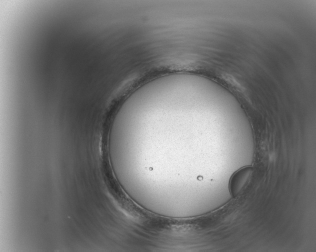 X0000069390686200605262117