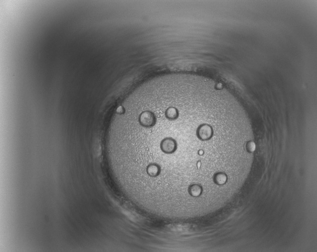 X0000069390687200605262117