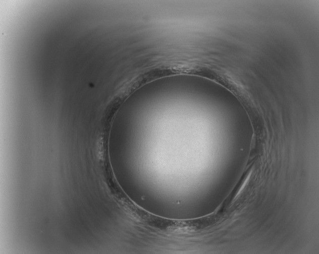 X0000069390689200605262117