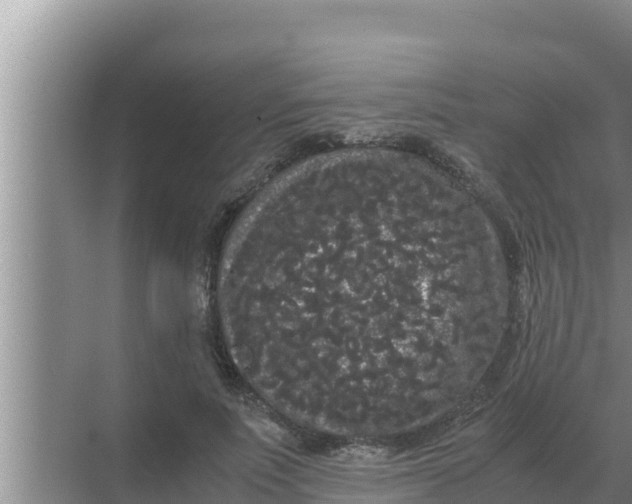 X0000069390691200605262117