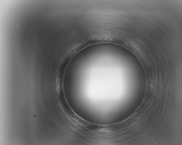 X0000069390692200605262117