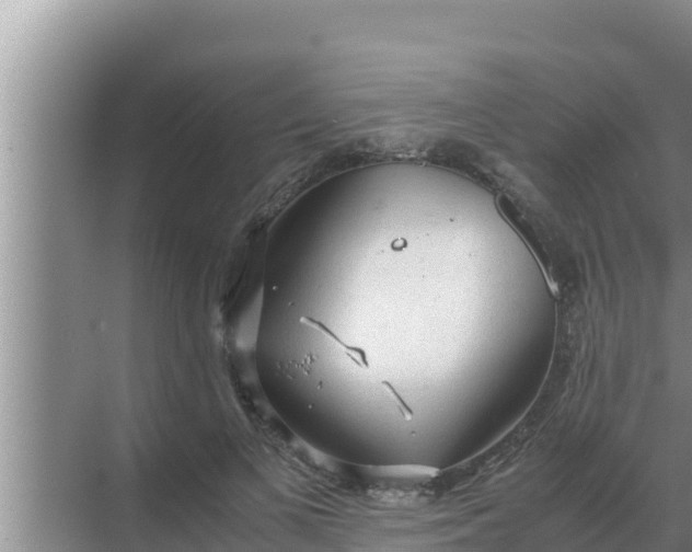 X0000069390693200605262117