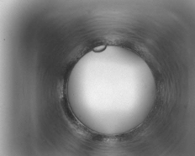 X0000069390694200605262117