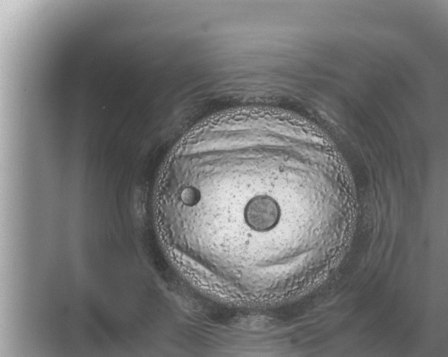 X0000069390695200605262117