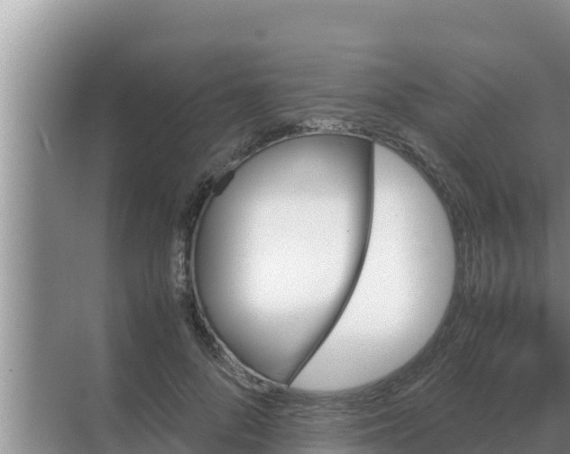 X0000069390696200605262117