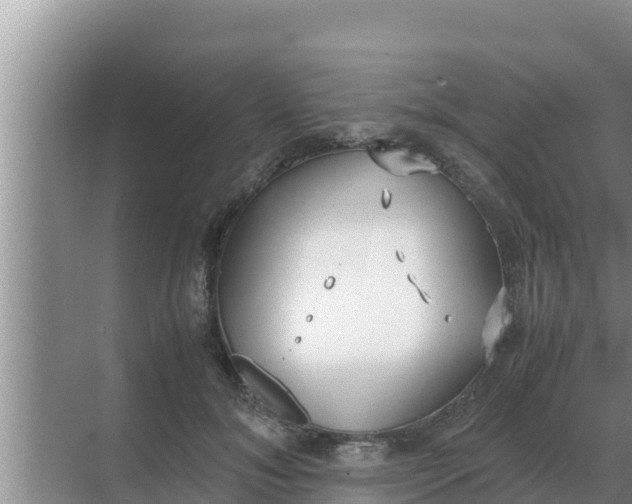 X0000069390700200605262117