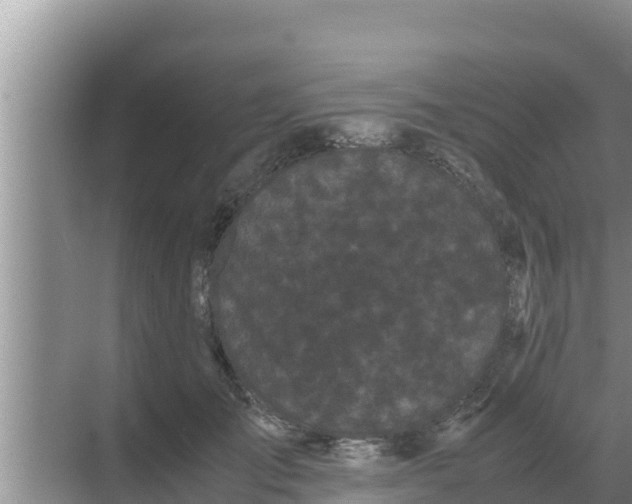 X0000069390701200605262117