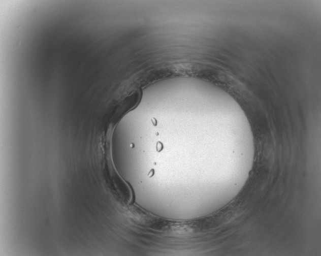 X0000069390702200605262117