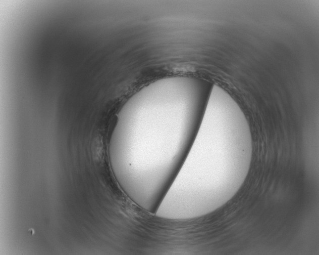 X0000069390704200605262116