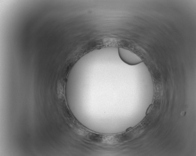 X0000069390705200605262116