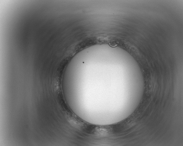 X0000069390706200605262116