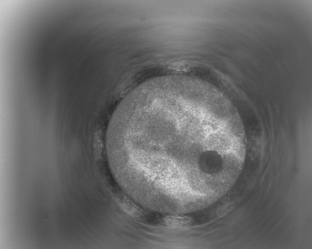 X0000069390707200605262116