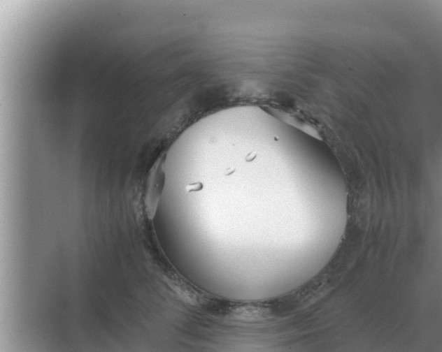 X0000069390708200605262116