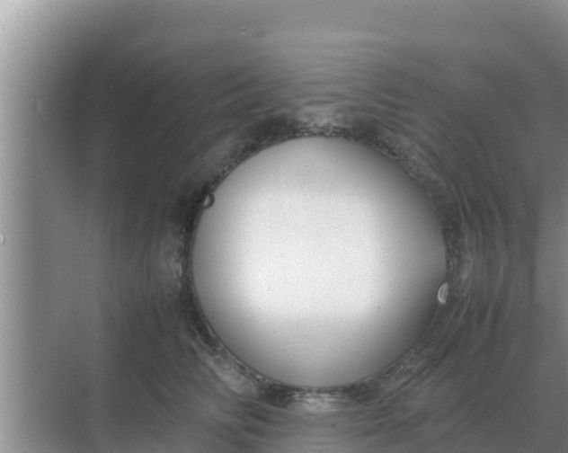 X0000069390710200605262116