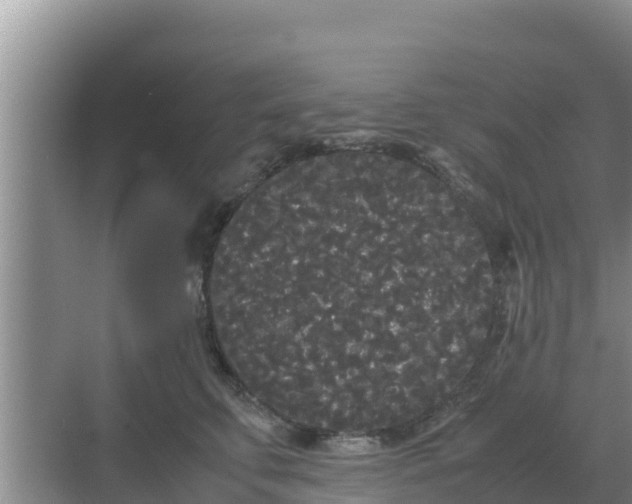 X0000069390711200605262116