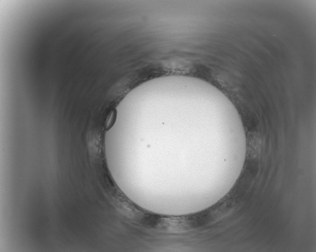 X0000069390713200605262116