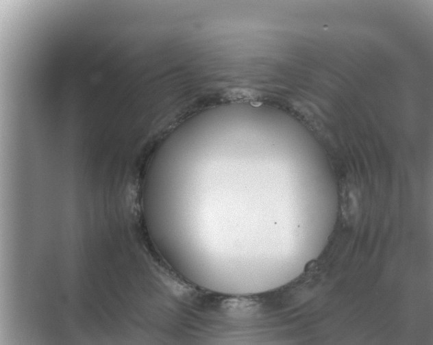 X0000069390714200605262116