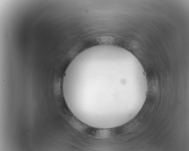 X0000069390717200605262116