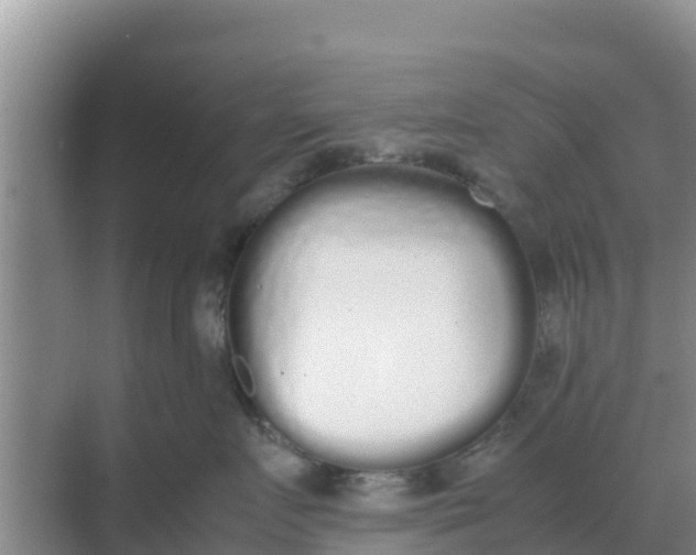 X0000069390719200605262116