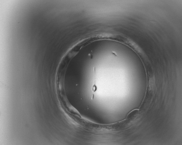 X0000069390722200605262115