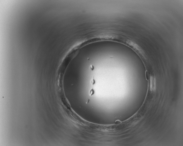 X0000069390723200605262115