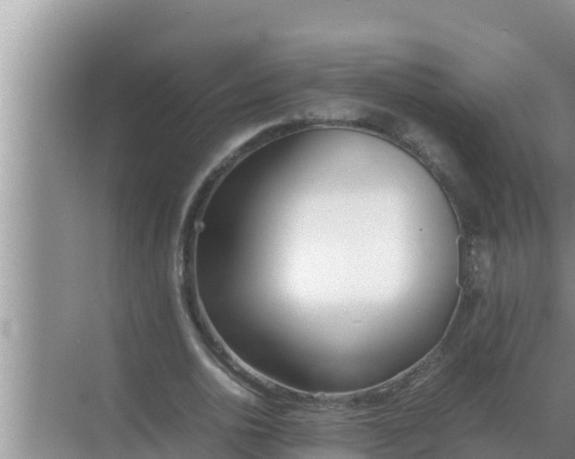 X0000069390726200605262116