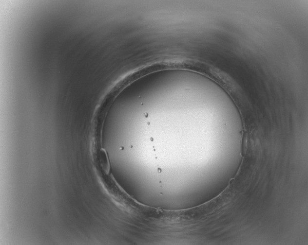 X0000069390728200605262116