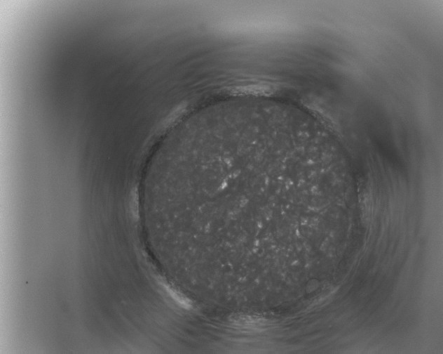 X0000069390729200605262116