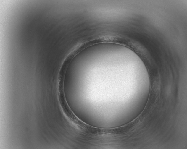 X0000069390730200605262116