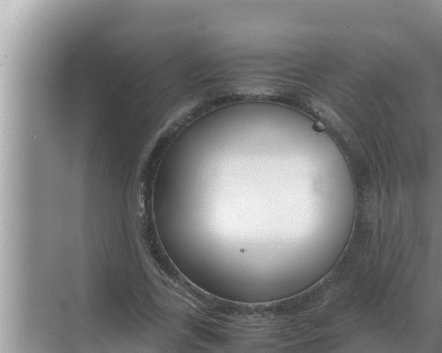 X0000069390731200605262116