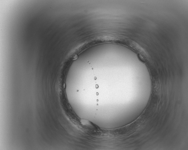 X0000069390732200605262116