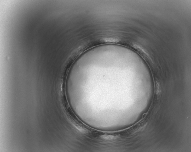 X0000069390733200605262116