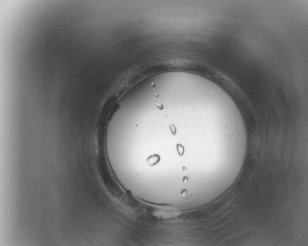 X0000069390734200605262116