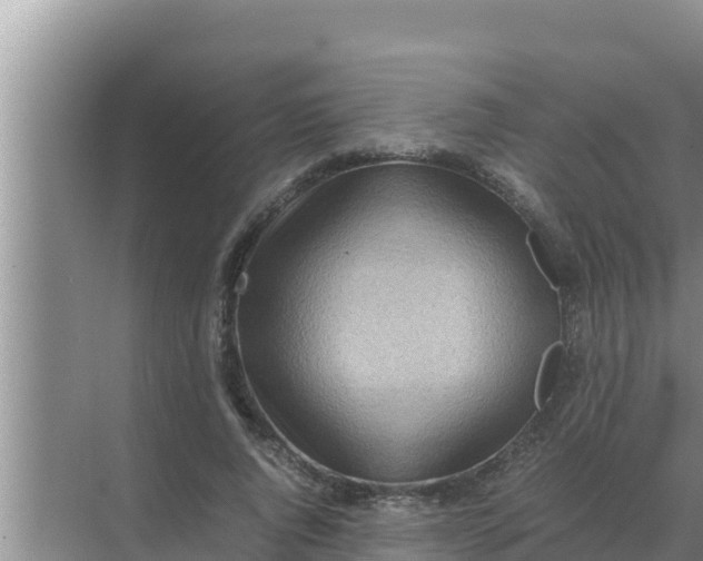 X0000069390736200605262116