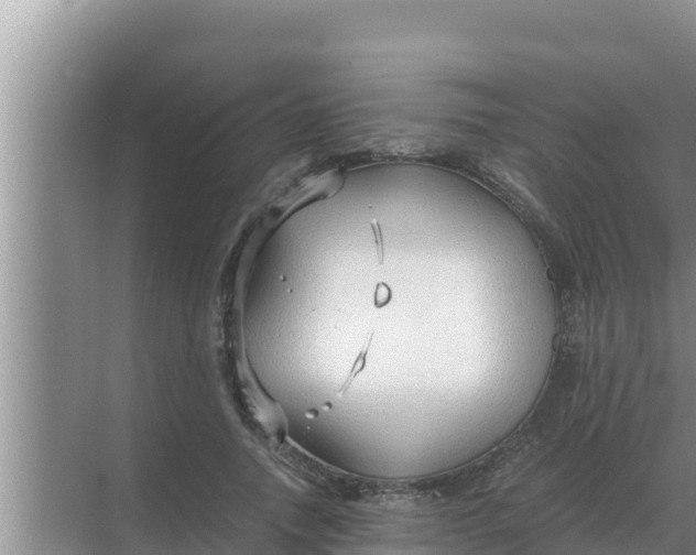 X0000069390738200605262116