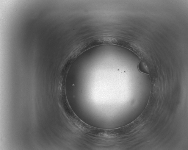 X0000069390739200605262116