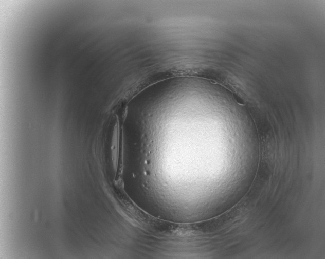 X0000069390742200605262116