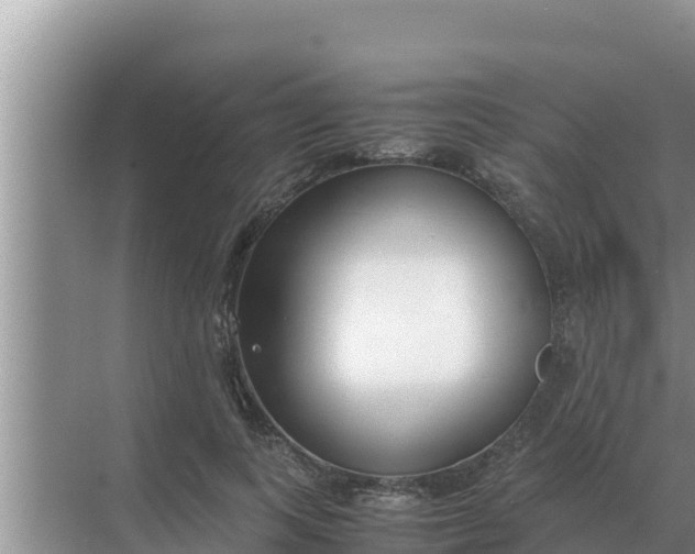 X0000069390743200605262116