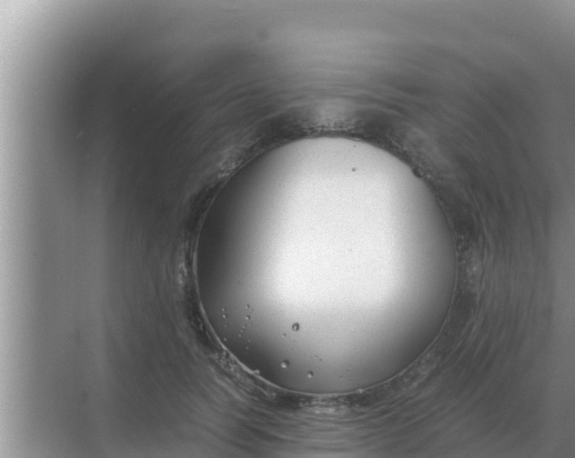 X0000069390746200605262116