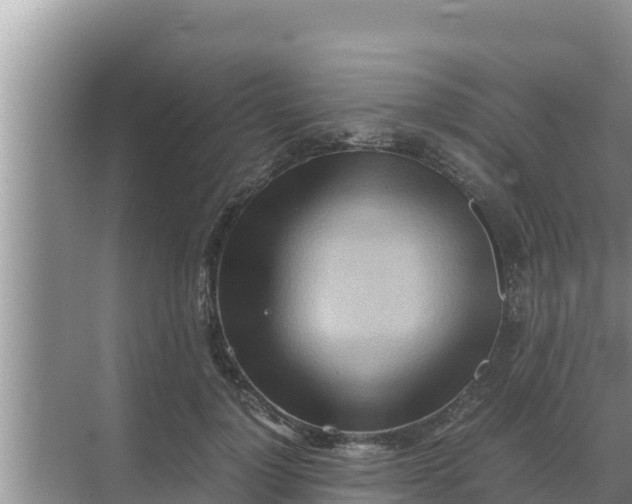 X0000069390748200605262116