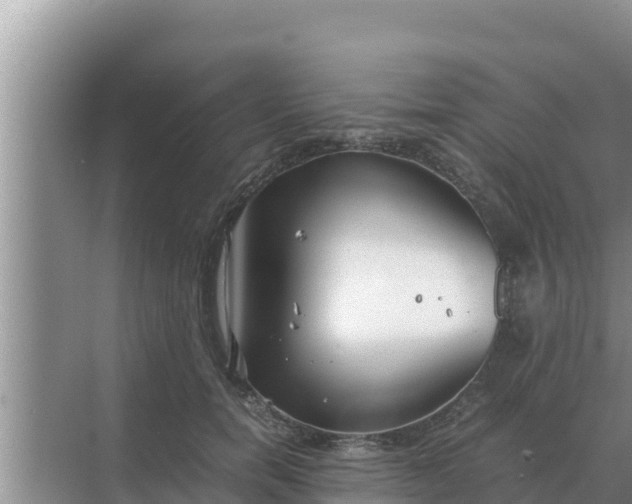 X0000069390750200605262116